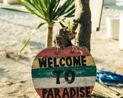 66fdc398d4ea381c56a5a336 Bernardhermant654689unsplash 66fdc398d4ea381c56a5a336 Bernardhermant654689unsplash