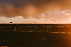 66fdc39bdbd68e139c4ab12c Lucasludwig681027unsplash 66fdc39bdbd68e139c4ab12c Lucasludwig681027unsplash