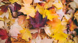 Photo: Unsplash/Greg Shield