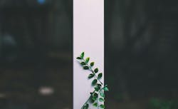 66fdc3a1e1fd4a6f6de1f9cd Bundokim973355unsplash 66fdc3a1e1fd4a6f6de1f9cd Bundokim973355unsplash