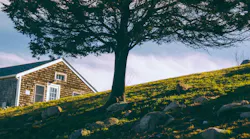 Photo: Unsplash/Matthew Brodeur