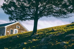 66fdc3a536c97e021c8b6a81 Matthewbrodeur4717unsplash 66fdc3a536c97e021c8b6a81 Matthewbrodeur4717unsplash