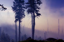 66fdc3a836c97ebf038b6a85 Bjorntoreokland119009unsplash 66fdc3a836c97ebf038b6a85 Bjorntoreokland119009unsplash