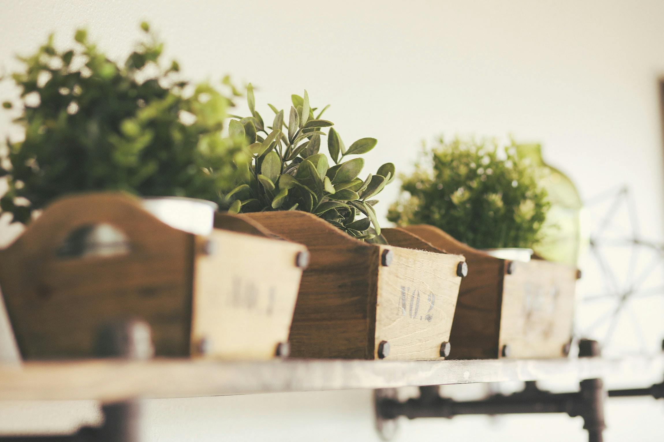 66fdc3a936c97e9f718b6a89 Andreguerra1053064unsplash