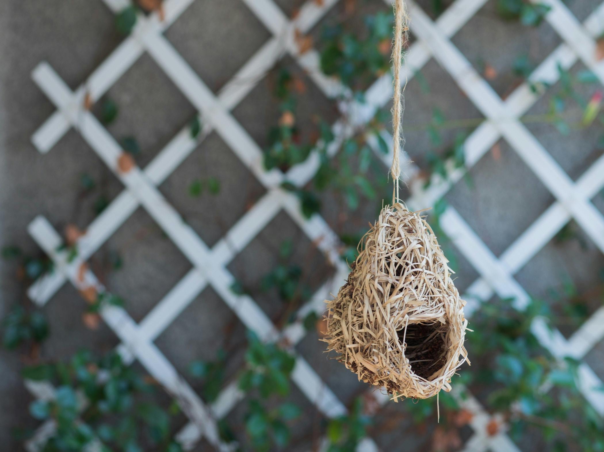 66fdc3b5de5fd1fa7c549578 Non669872unsplash