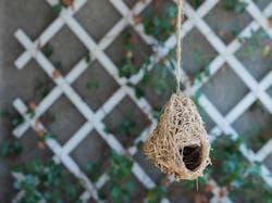 66fdc3b5de5fd1fa7c549578 Non669872unsplash 66fdc3b5de5fd1fa7c549578 Non669872unsplash