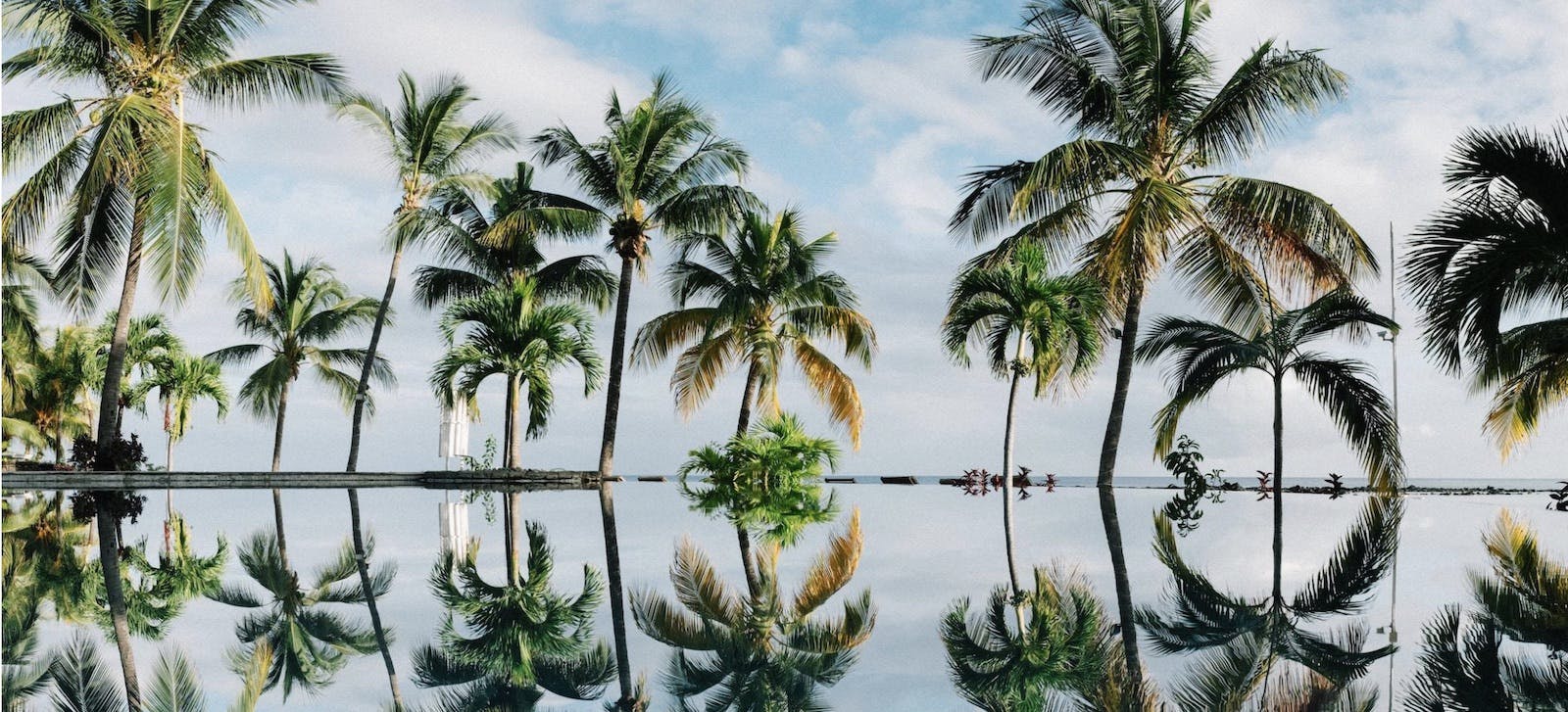 66fdc3b6a897b5454cb207b7 Oceansidepalmtreesandwater