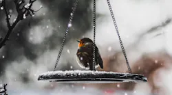 Photo: Unsplash/Clever Visuals