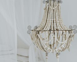 66fdc3c301d3bf3532af82bf Lindiewilton1177945unsplash 66fdc3c301d3bf3532af82bf Lindiewilton1177945unsplash