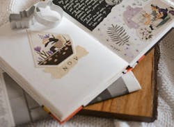 66fdc3c8e63fdc39c54590a8 Esteejanssens1195477unsplash 66fdc3c8e63fdc39c54590a8 Esteejanssens1195477unsplash