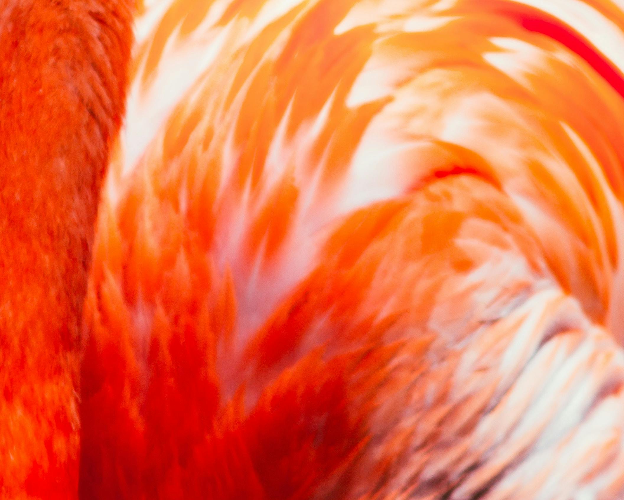 66fdc3cfdbd68ed3de4ab16d Patrycjapolechonska125879unsplash