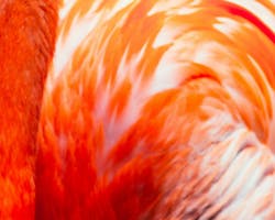 66fdc3cfdbd68ed3de4ab16d Patrycjapolechonska125879unsplash 66fdc3cfdbd68ed3de4ab16d Patrycjapolechonska125879unsplash