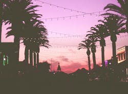 66fdc3d1a5dba03dc4462ebf Marionmichele464759unsplash 66fdc3d1a5dba03dc4462ebf Marionmichele464759unsplash