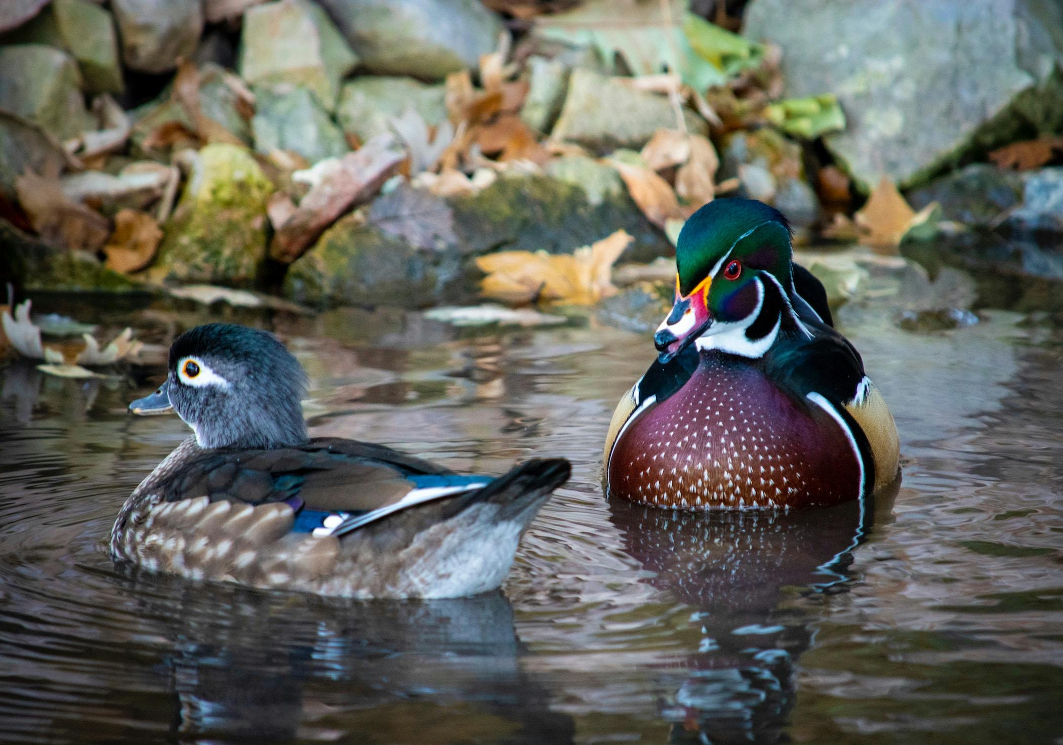 66fdc3dc36c97e04138b6ab9 Jonsailer1113503unsplash