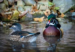 66fdc3dc36c97e04138b6ab9 Jonsailer1113503unsplash 66fdc3dc36c97e04138b6ab9 Jonsailer1113503unsplash