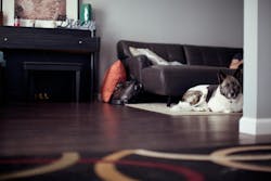 66fdc3e1e1fd4a02a7e1fa17 Jennymarvin514595unsplash 66fdc3e1e1fd4a02a7e1fa17 Jennymarvin514595unsplash