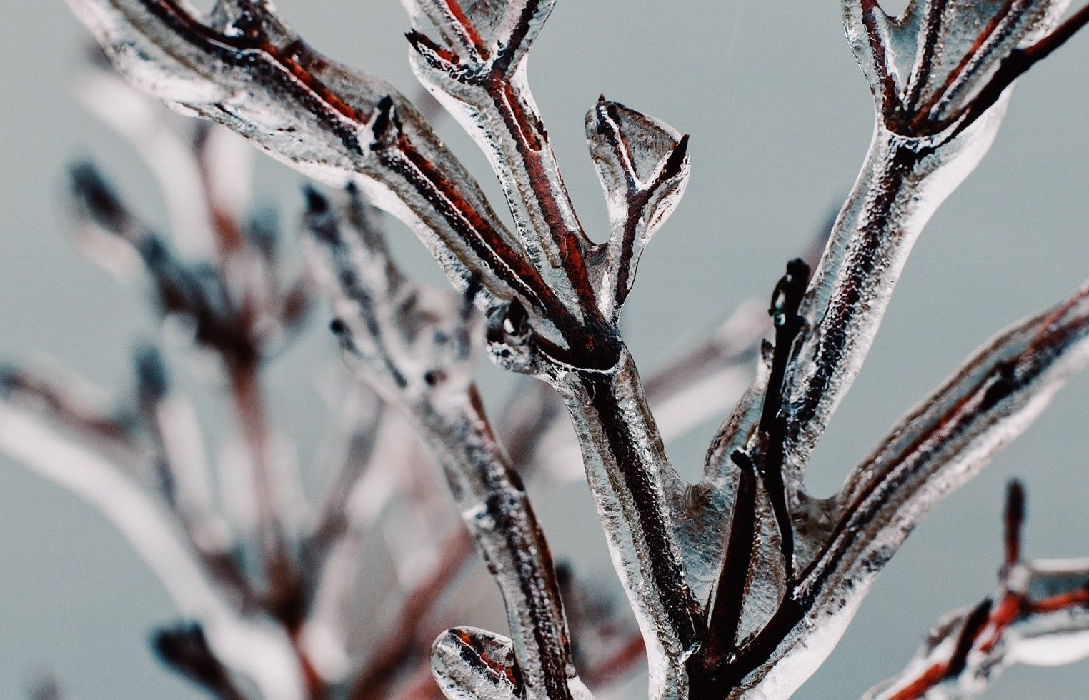 66fdc3e7dbd68e72f64ab17b Bryanminear631970unsplash