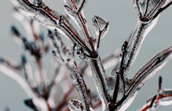 66fdc3e7dbd68e72f64ab17b Bryanminear631970unsplash 66fdc3e7dbd68e72f64ab17b Bryanminear631970unsplash