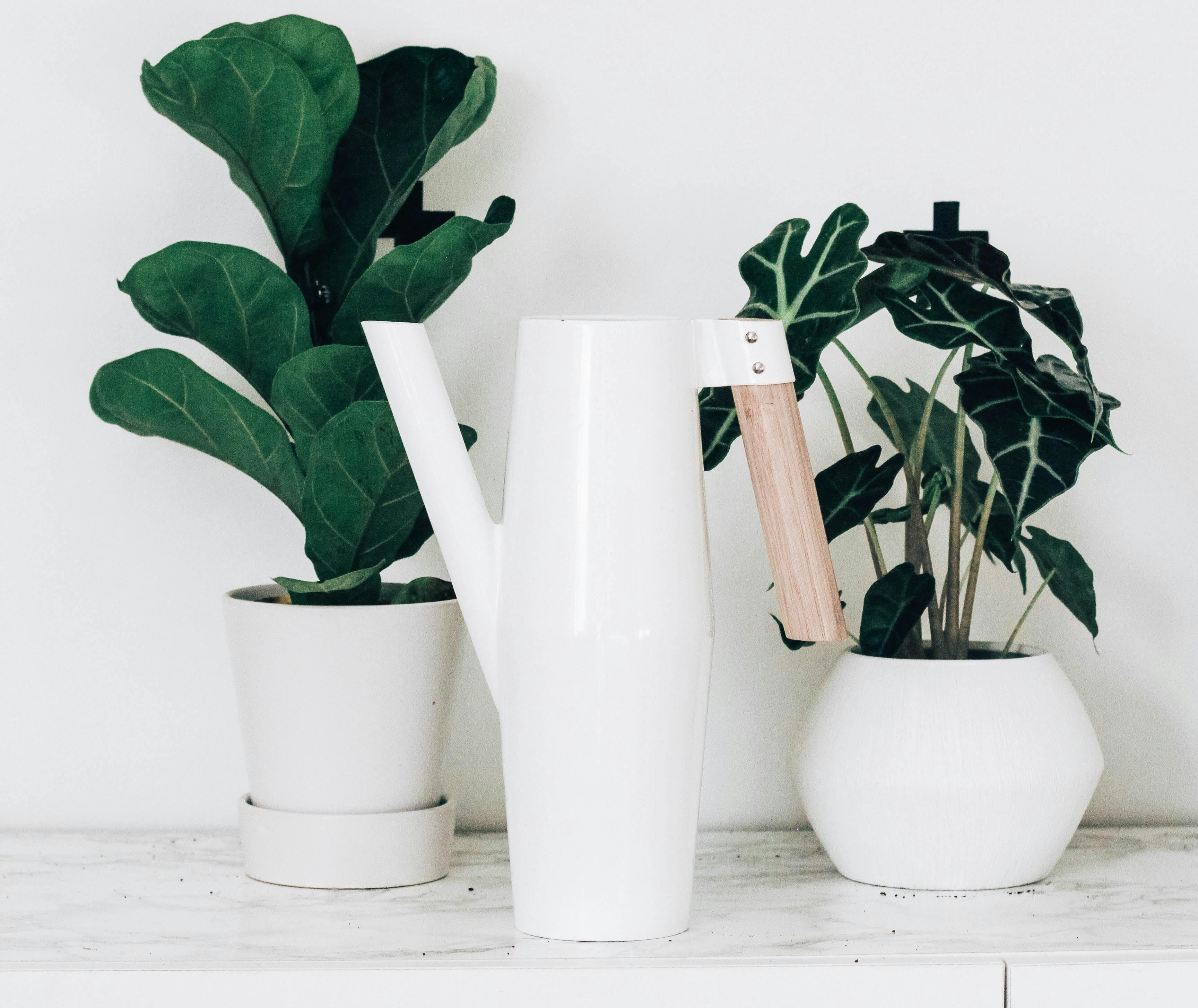 66fdc3e7dbd68ecbf74ab17c Karaeads1234696unsplash