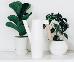 66fdc3e7dbd68ecbf74ab17c Karaeads1234696unsplash 66fdc3e7dbd68ecbf74ab17c Karaeads1234696unsplash