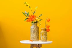 66fdc3ffd4ea383767a5a395 Daphneengelke1267209unsplash 66fdc3ffd4ea383767a5a395 Daphneengelke1267209unsplash