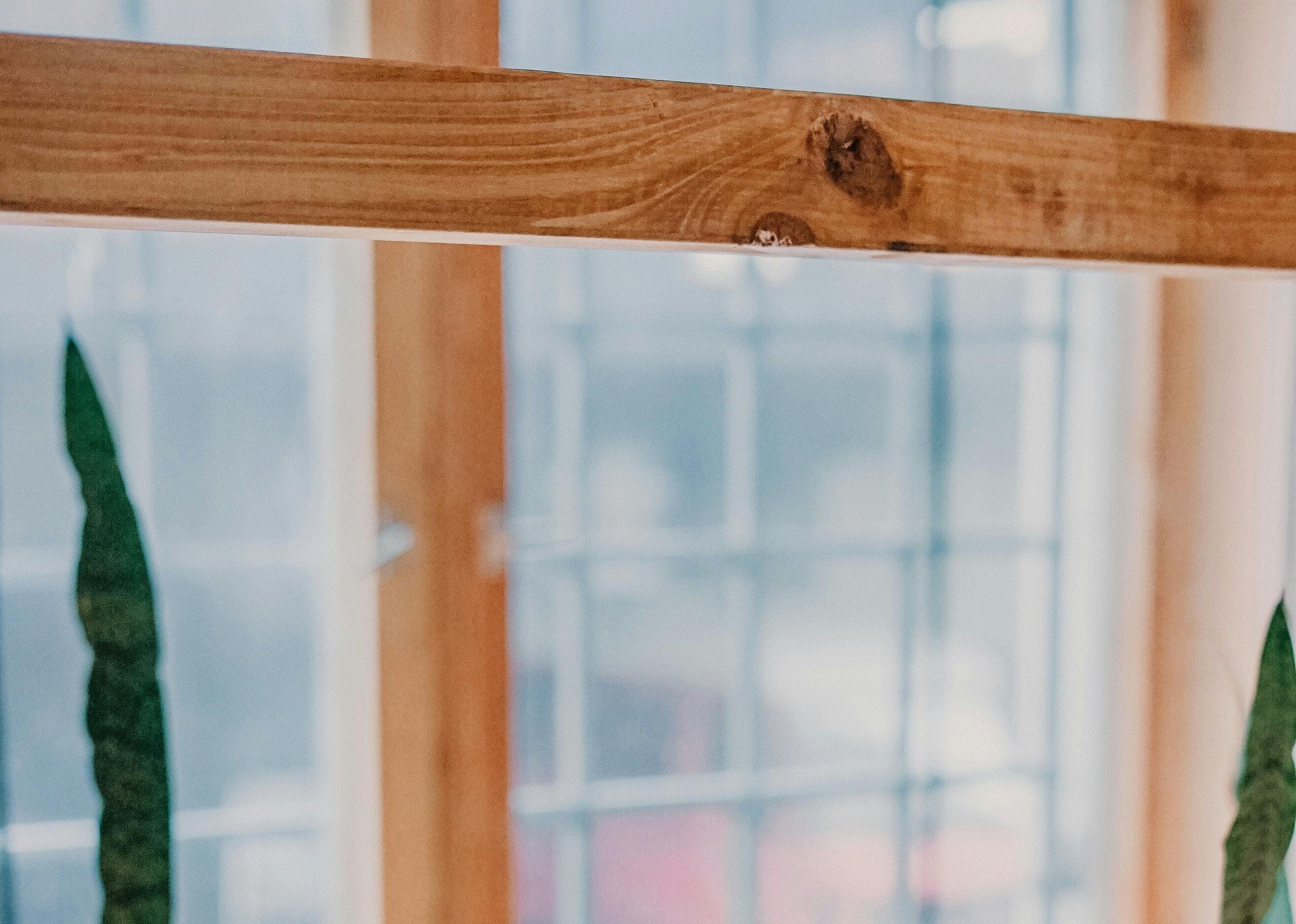 66fdc40136c97efd2c8b6aea Toaheftiba1204263unsplash