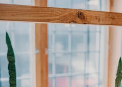 66fdc40136c97efd2c8b6aea Toaheftiba1204263unsplash 66fdc40136c97efd2c8b6aea Toaheftiba1204263unsplash