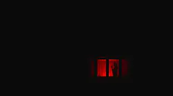Photo: Unsplash/Frans Hulet