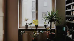 Photo: Unsplash/Luz Brunetti