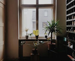 66fdc406a897b52489b20801 Luzbrunetti1269680unsplash 66fdc406a897b52489b20801 Luzbrunetti1269680unsplash