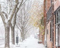 66fdc40fd4ea381425a5a3a0 Timumphreys1268116unsplash 66fdc40fd4ea381425a5a3a0 Timumphreys1268116unsplash