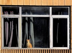 66fdc40fd4ea385b8fa5a39f Victorzamora1285271unsplash 66fdc40fd4ea385b8fa5a39f Victorzamora1285271unsplash