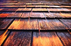 66fdc41ae1fd4a28f5e1fa52 Ronwhitaker551781unsplash 66fdc41ae1fd4a28f5e1fa52 Ronwhitaker551781unsplash