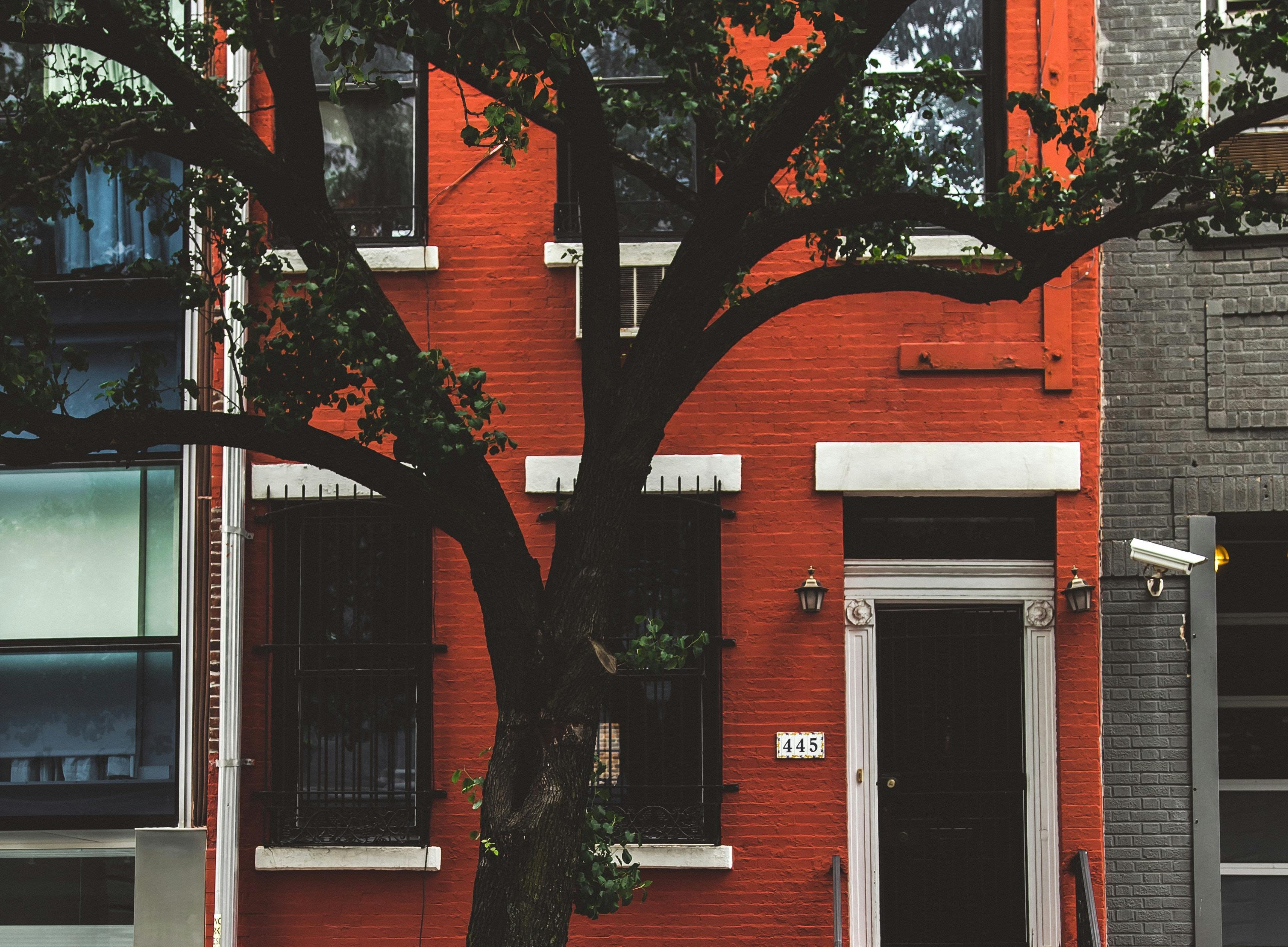 66fdc426d4ea3802c6a5a3b7 Trenthaaland1279803unsplash