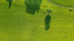 Photo: Unsplash/CG