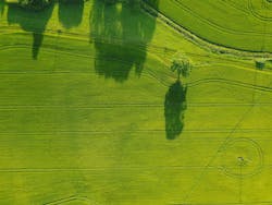 66fdc428dbd68e2c514ab1cc Cg461353unsplash 66fdc428dbd68e2c514ab1cc Cg461353unsplash