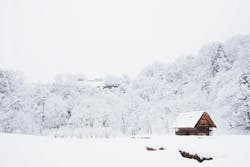 66fdc42cdbd68e214e4ab1d1 Fabianmardi538249unsplash 66fdc42cdbd68e214e4ab1d1 Fabianmardi538249unsplash