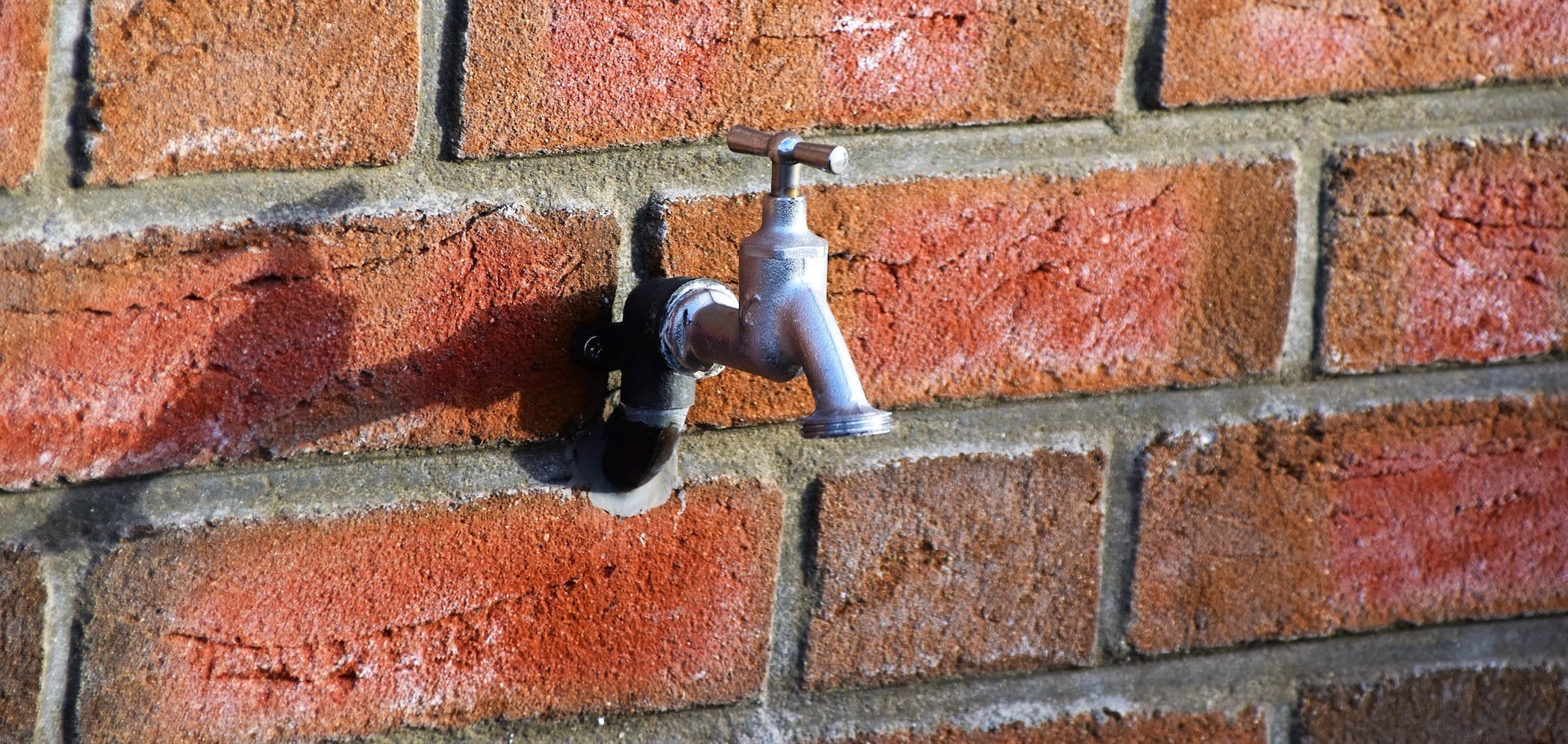 66fdc431dbd68e08164ab1d8 Waldemarbrandt1259290unsplash