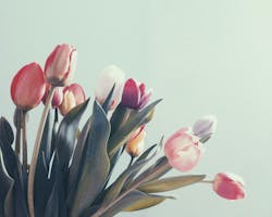 66fdc43201d3bf164baf8333 Lisaverenapape559939unsplash 66fdc43201d3bf164baf8333 Lisaverenapape559939unsplash