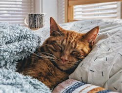 66fdc43601d3bfea1caf833c Izphil1332604unsplash 66fdc43601d3bfea1caf833c Izphil1332604unsplash