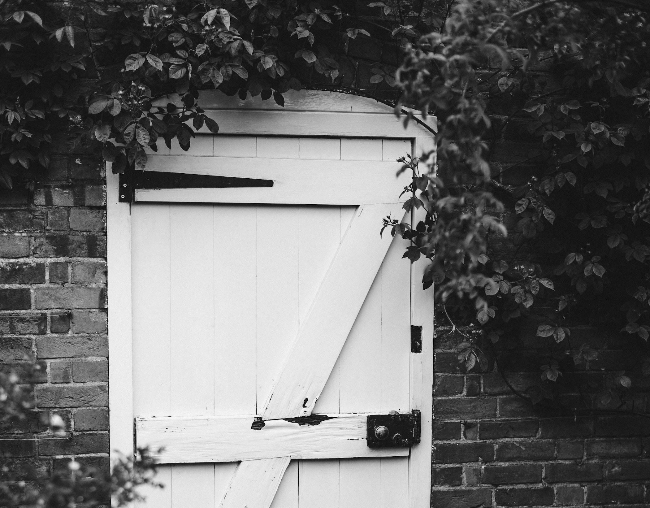 66fdc43da897b5ab85b2083c Anniespratt386208unsplash