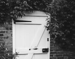 66fdc43da897b5ab85b2083c Anniespratt386208unsplash 66fdc43da897b5ab85b2083c Anniespratt386208unsplash