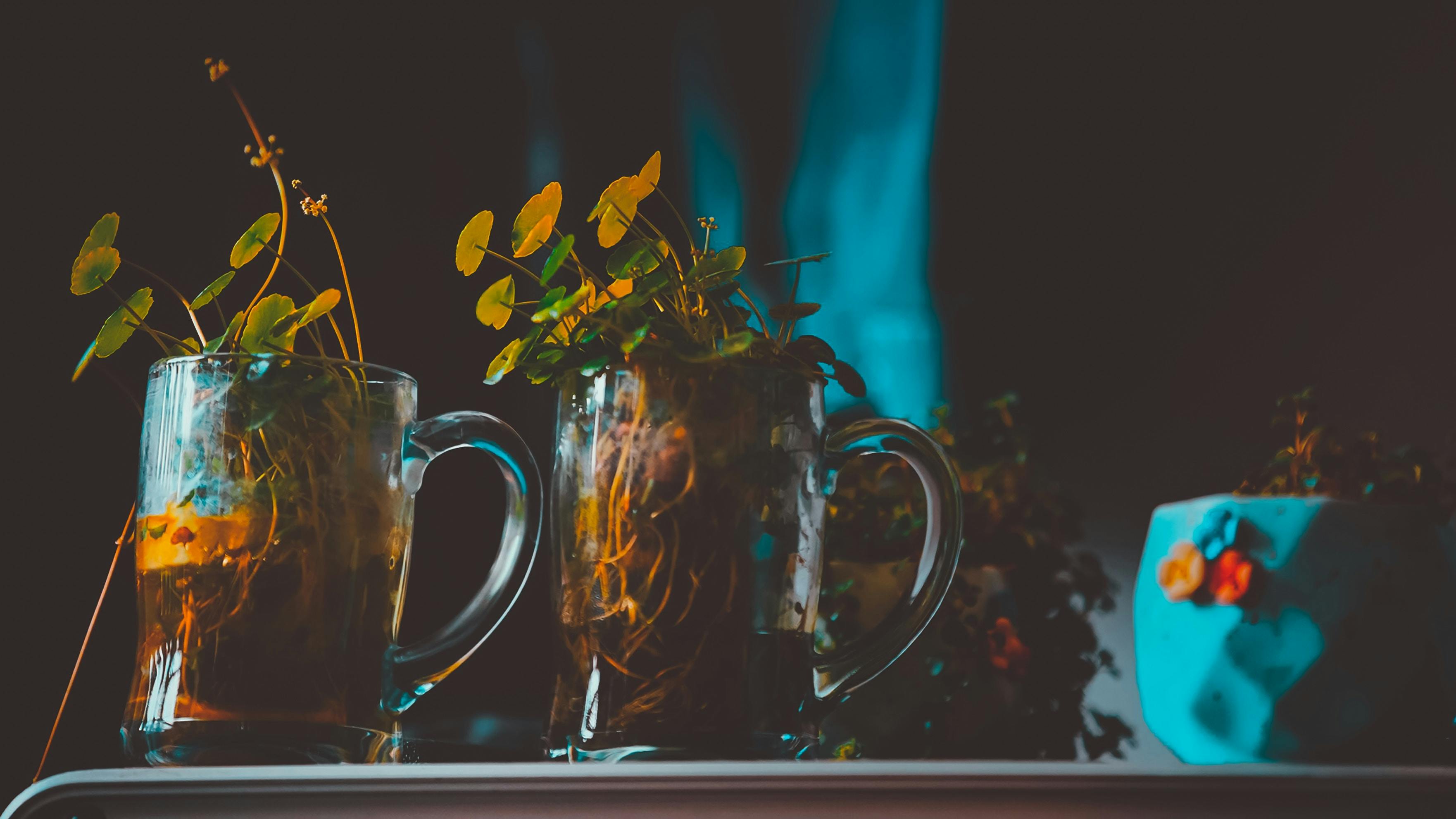 66fdc440e1fd4aee13e1fa71 Miti737993unsplash