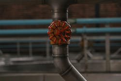 66fdc447e63fdc2a4245914d Amauriacostamontiel1263751unsplash 66fdc447e63fdc2a4245914d Amauriacostamontiel1263751unsplash