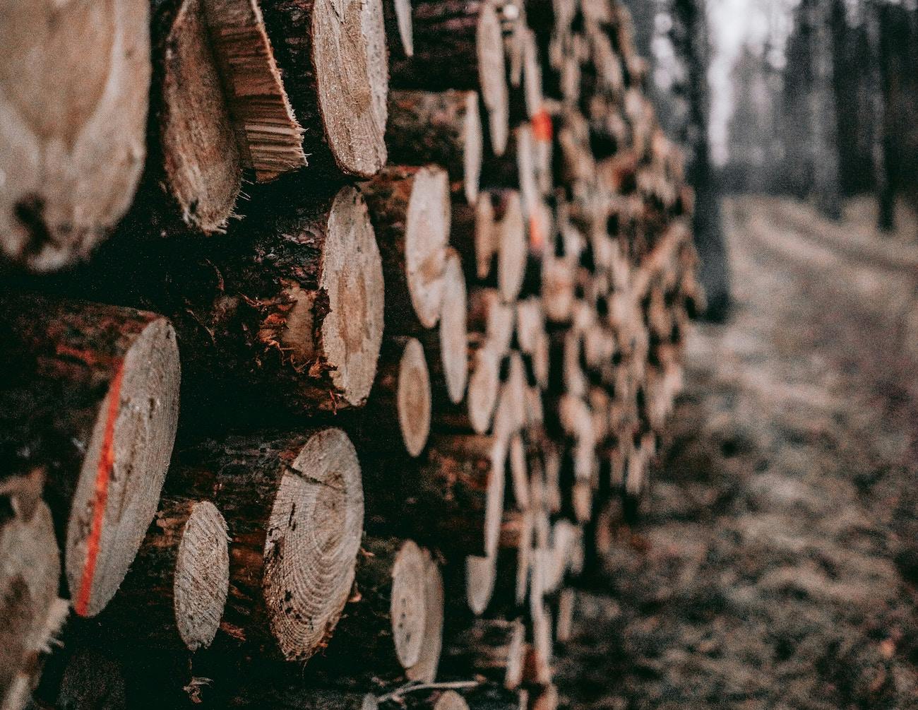 66fdc449e1fd4a7f6de1fa80 Sebastianpociecha653338unsplash