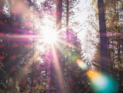 66fdc44b36c97e26898b6b4c Patrickselin391360unsplash 66fdc44b36c97e26898b6b4c Patrickselin391360unsplash