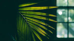 Photo: Unsplash/Emilie Farris