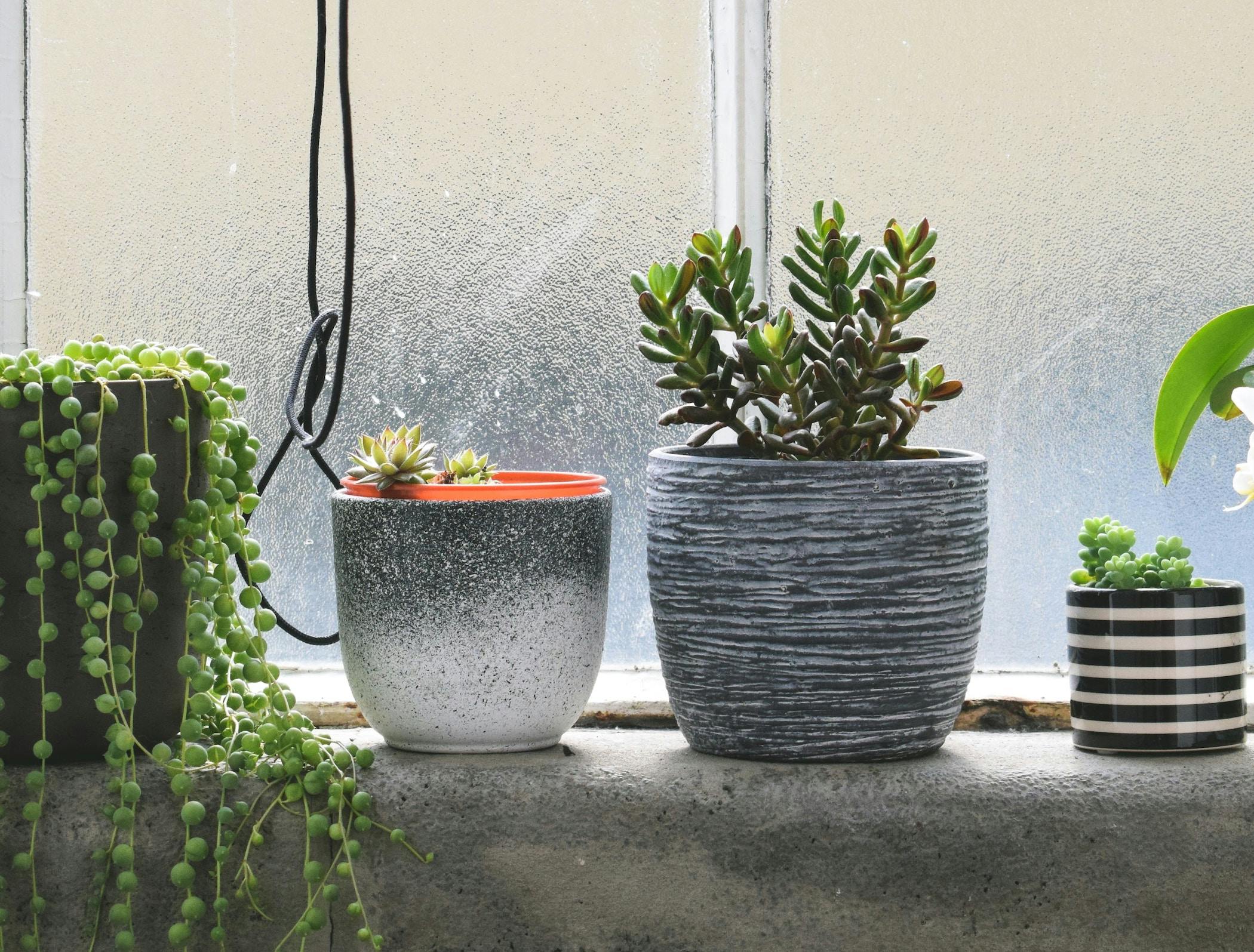 66fdc458e1fd4a2f84e1fa91 Lutherbottrill686178unsplash