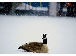 66fdc45be63fdc9d76459167 Christopherrodgers683112unsplash 66fdc45be63fdc9d76459167 Christopherrodgers683112unsplash