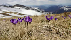 Photo: Unsplash/Biegun Wschodni